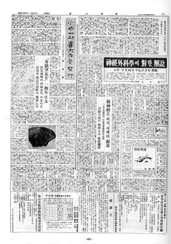 부대신문1권480.jpg