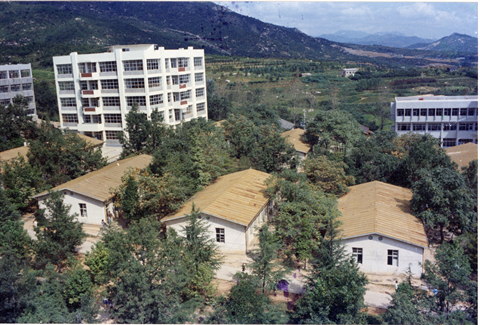 1970년대 과학관과 교양학관.bmp