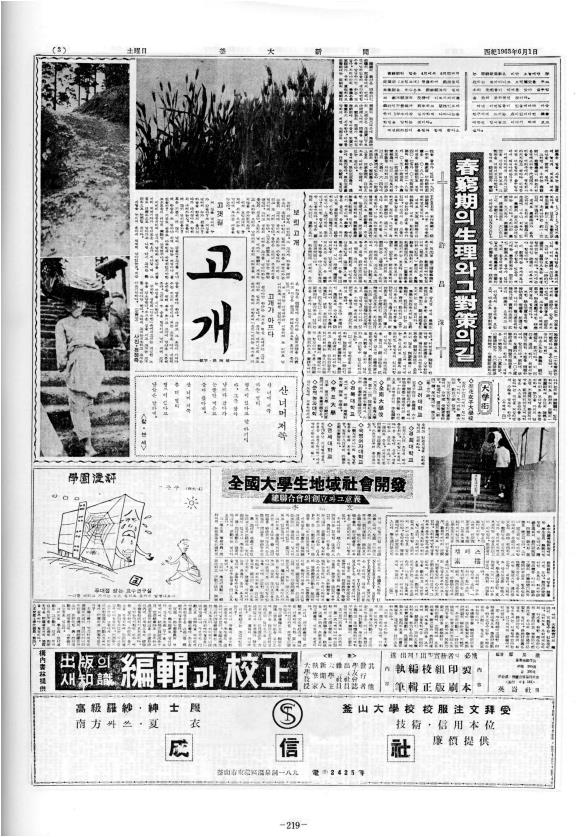 부대신문1권219.jpg